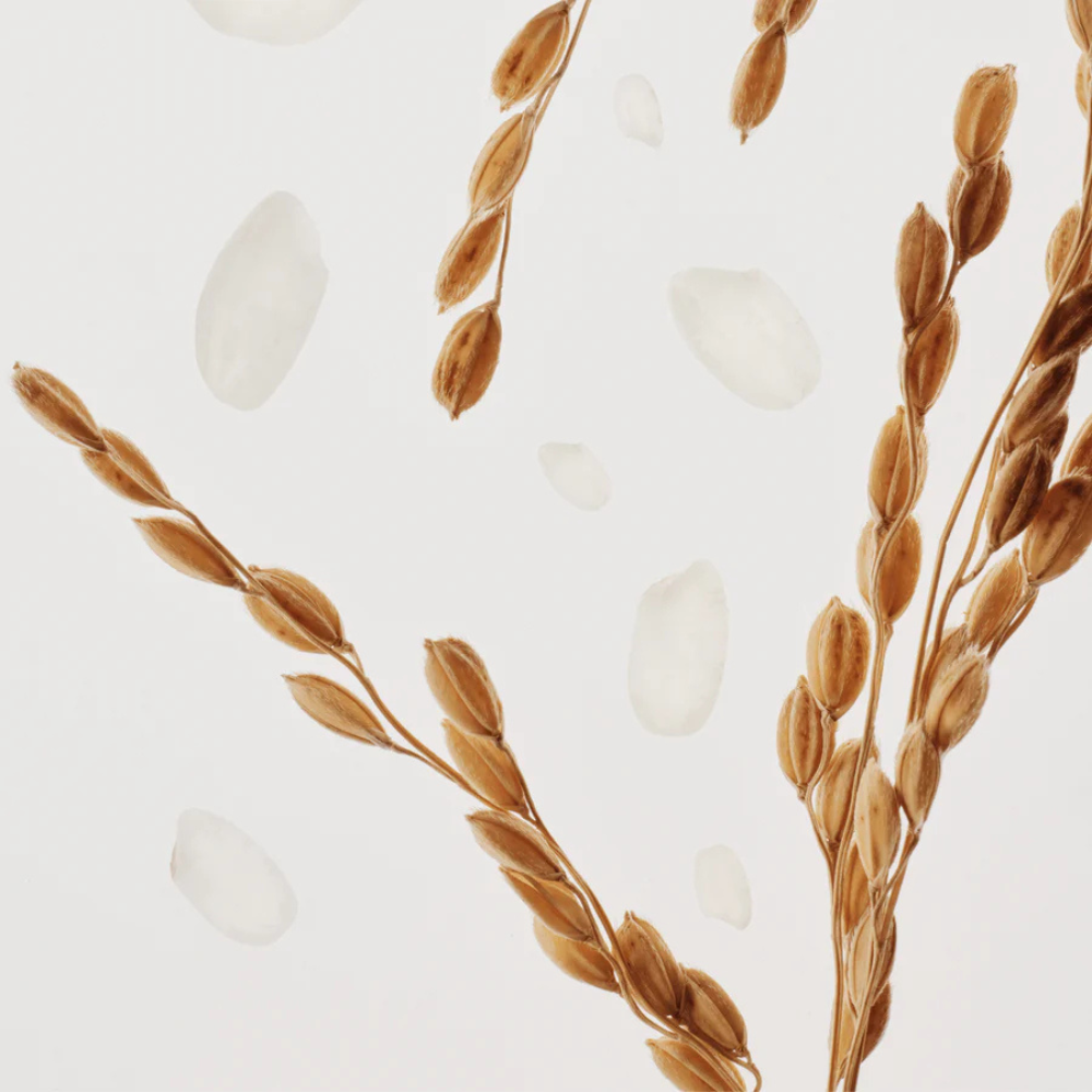 Beauty of Joseon Radiance Cleansing Balm 100 ml - Imagen 7