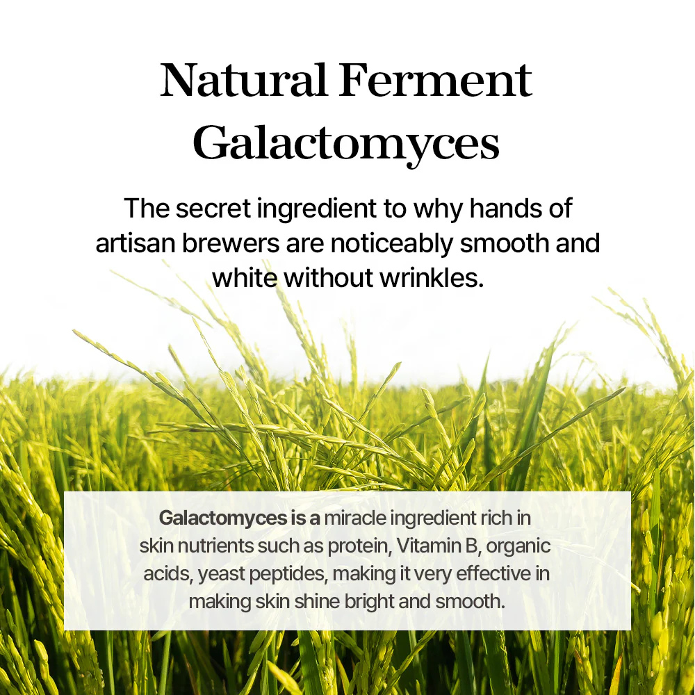 mixsoon Galactomyces Ferment Essence 100 ml - Imagen 4
